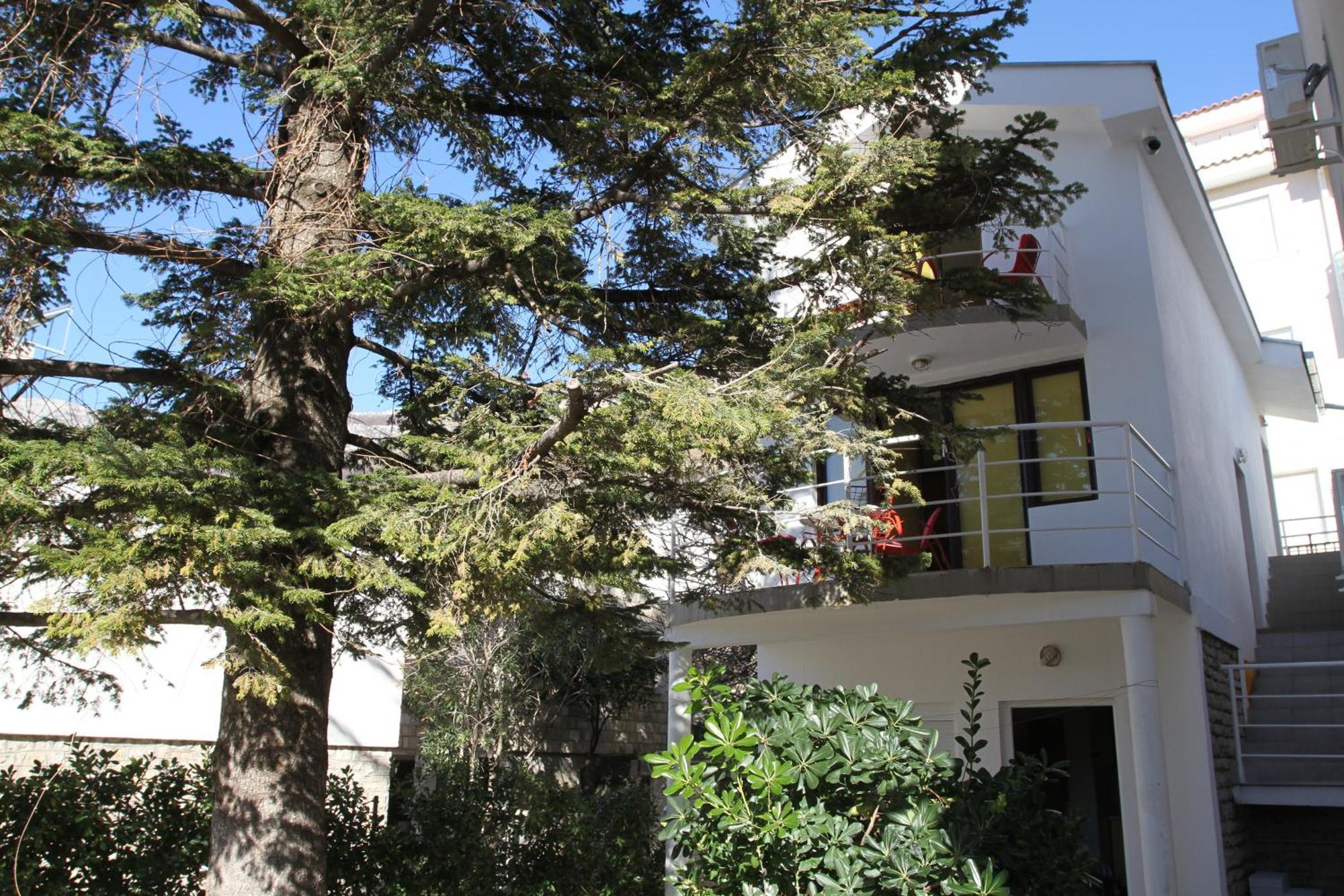 Apartments Popovic Petrovac Buitenkant foto